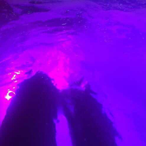 贞德漫画汉化版官方入口
